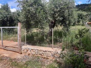 Building land - Perdika
