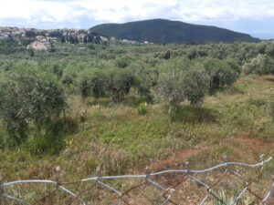 Building land - Perdika
