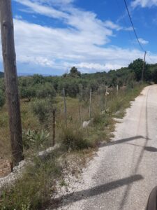 Building land - Perdika