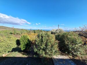 House Sotiritsa
