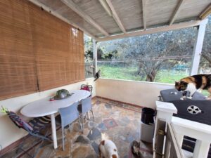 House Agiokampos