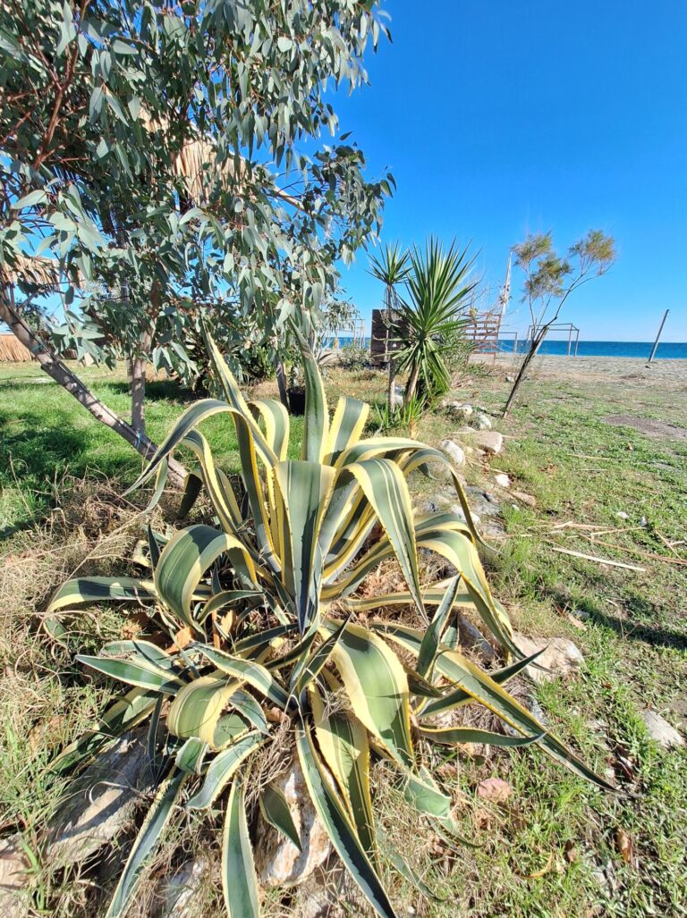 Agiokampos - Maisonette, House