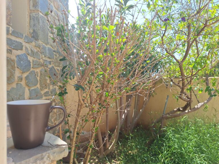 A-year-round-bungalow_in-southern-Crete